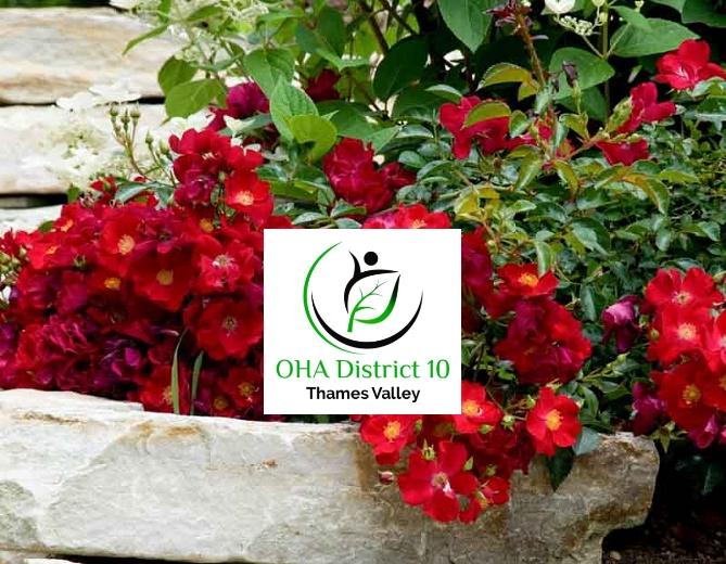 D10 Fall Executive Workshop