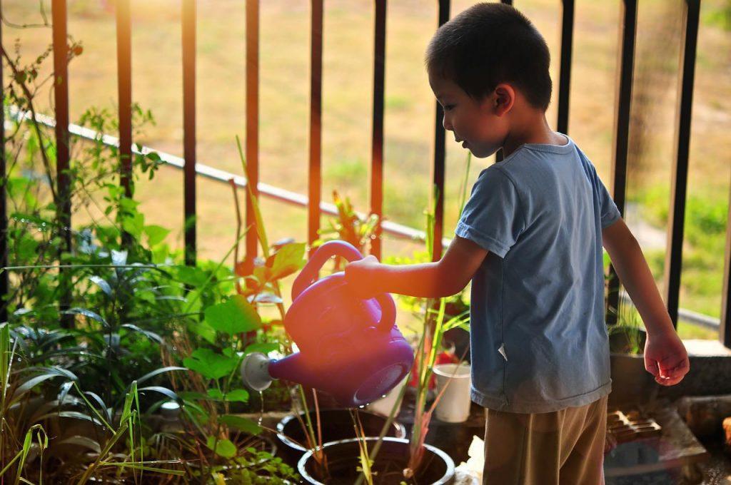 tree, watering, child-3335400.jpg