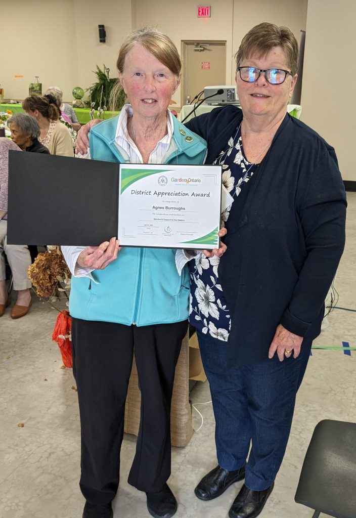 Agnes Burrows District Appreciation Award